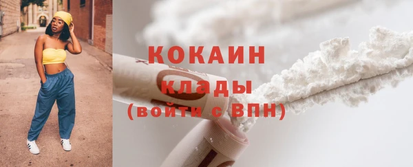 гашик Горняк