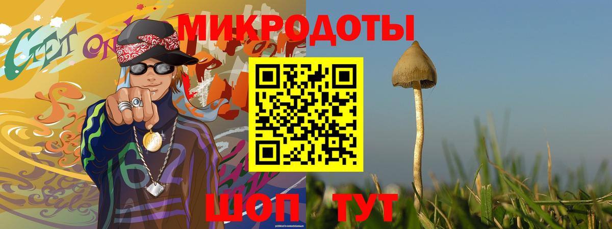 Лобня  Псилоцибиновые грибы GOLDEN TEACHER  Галлюциногенные грибы Magic Shrooms  Вход с VPN 